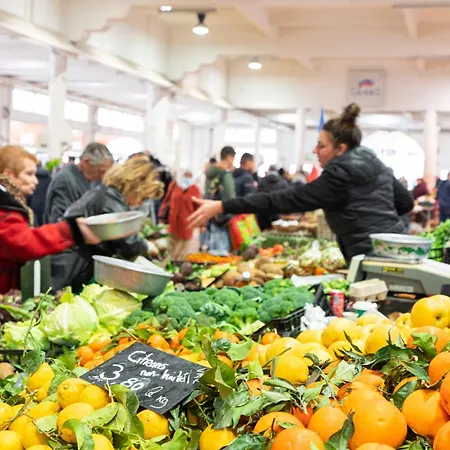 Meynadier Premium 2br Refurb 2023 Olam