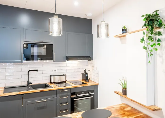 Meynadier Premium 2br Refurb 2023 Olam Apartamento Cannes